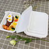 Hitray 500/550ML Bento Lunch Box PLA Meat Tray