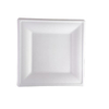 Hitray 10 Inch Square Plate Bagasse Food Container