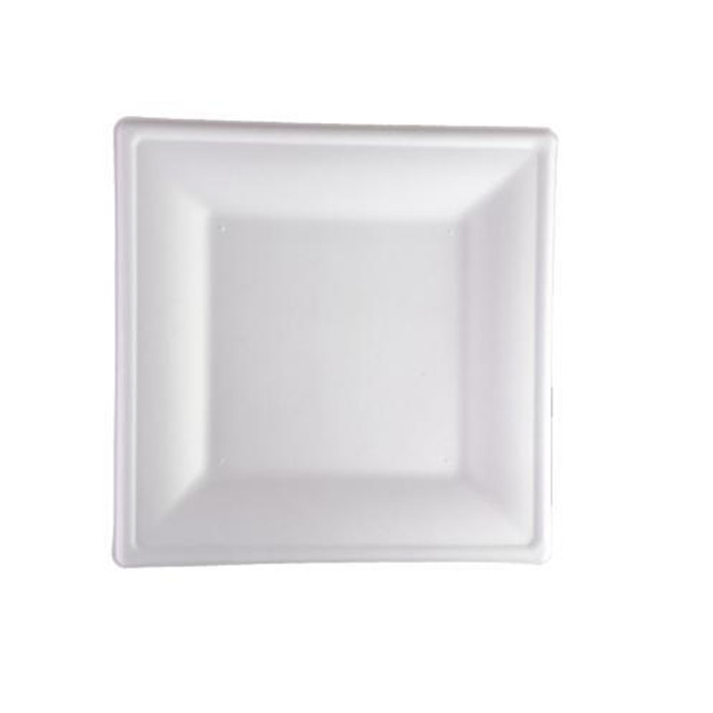 Hitray 10 Inch Square Plate Bagasse Food Container