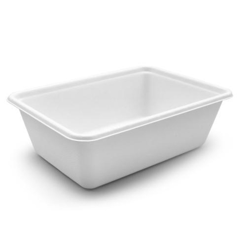 Hitray Disposable Biodegradable Sugarcane Bagasse Food Container