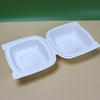 Hitray Pp Disposable Takeaway Food Boxes