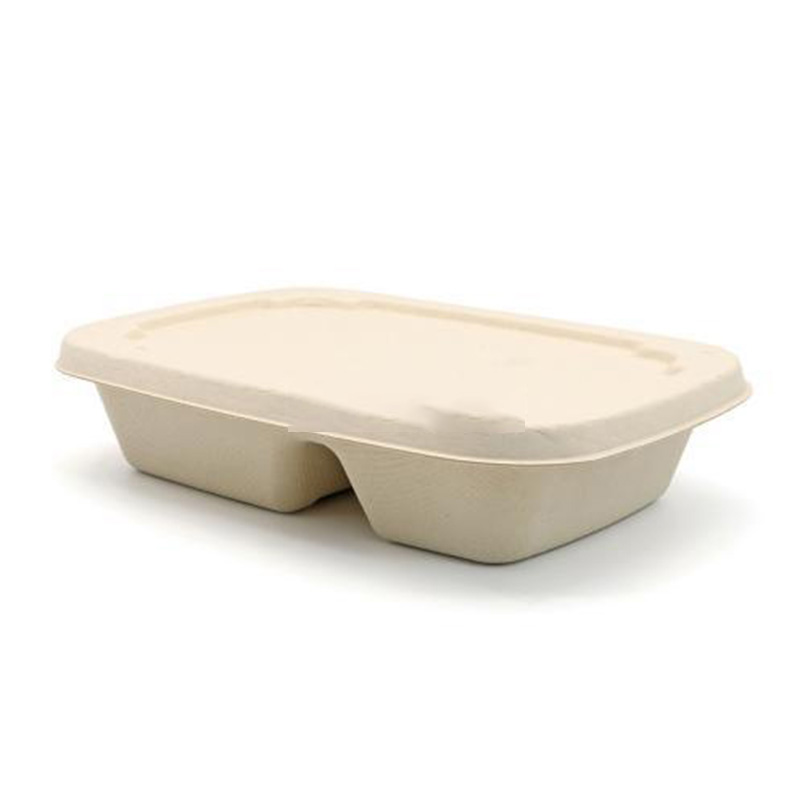 Hitray White Color Natural Color Multi Grid Bagasse Food Container