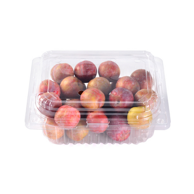 Hi Tray Clear PET Plastic Round Fruit Box Disposable Tray 6.81 X 6.81 Inches