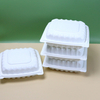 Hitray Disposable White PP Plastic Box