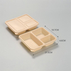 Hitray 2/3/4 Compartments Sugarcane Bagasse Compostable Biodegradable Food Tray