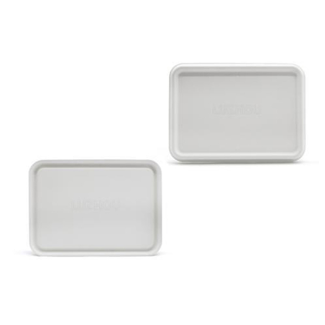 Hitray Disposable Biodegradable Sugarcane Bagasse Food Container