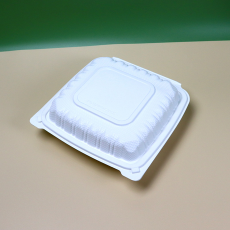 Hitray Disposable White PP Plastic Box