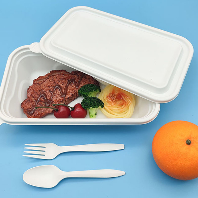 Hitray 500/550 ml Bento Lunch Box Pla Fleischschale