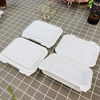 Hitray Compostable PLA Hinged Lid Container
