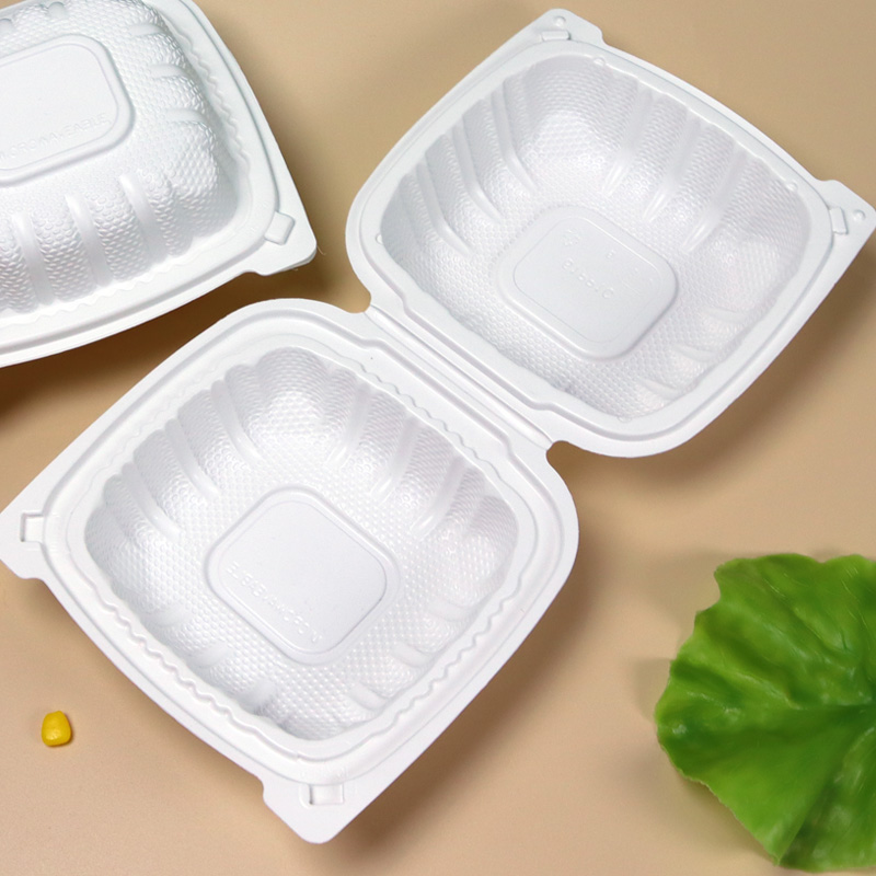Hitray Disposable White PP Plastic Box