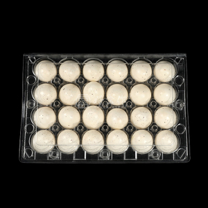 Hitray 16-count Clear Plastic Egg Cartons