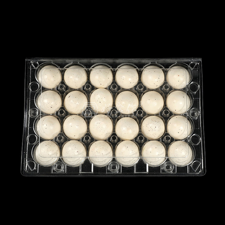 Hitray 24-count 40 Brilliant Egg Packaging Design Ideas Egg Cartons Box PET Sheet Blister 