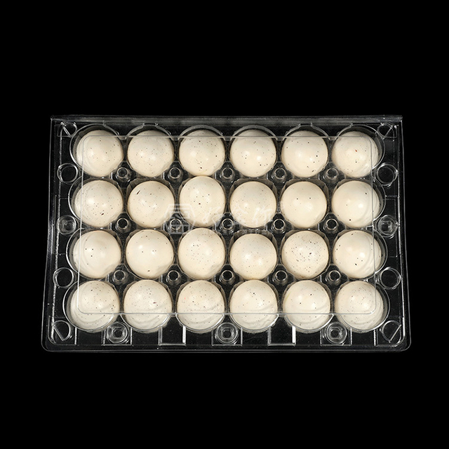 Hitray 15-count Clear Plastic Egg Cartons