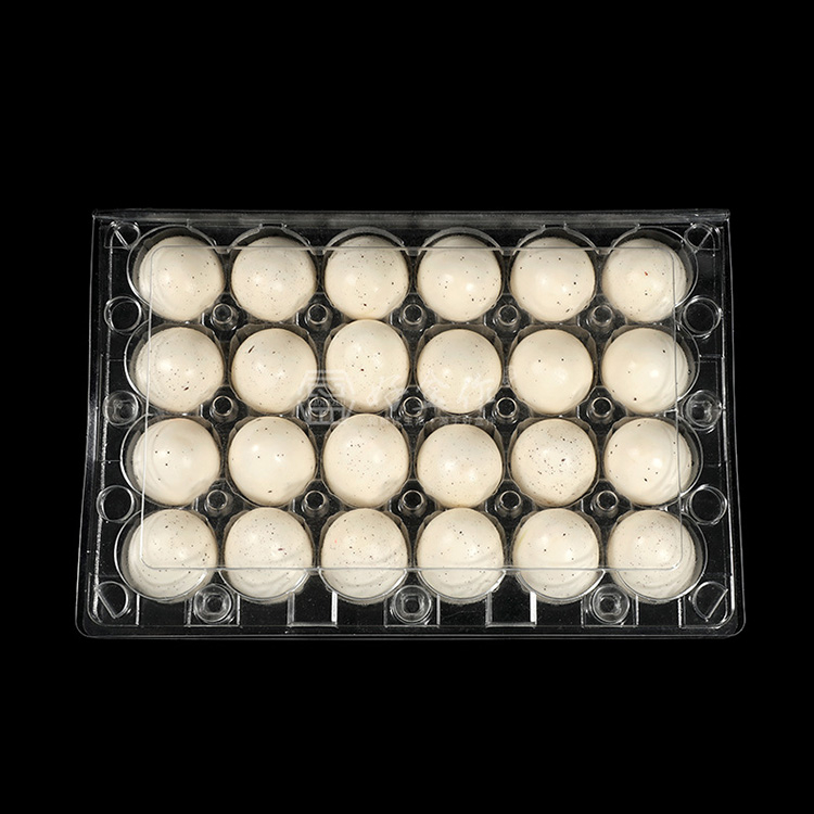 Hitray 16-count Clear Plastic Egg Cartons
