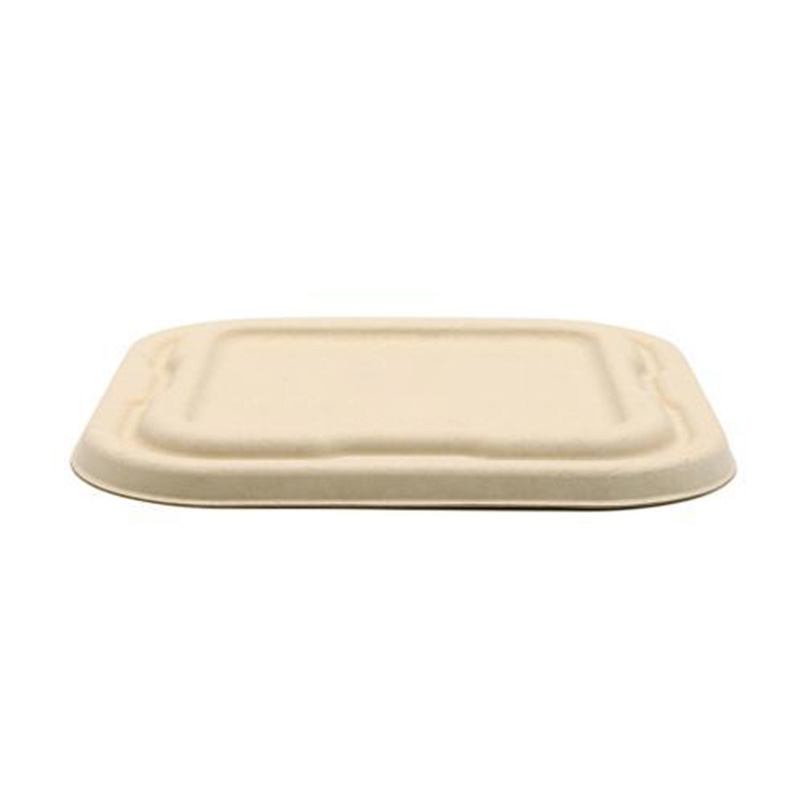 Hitray Bagasse Compostable Takeout Boxes