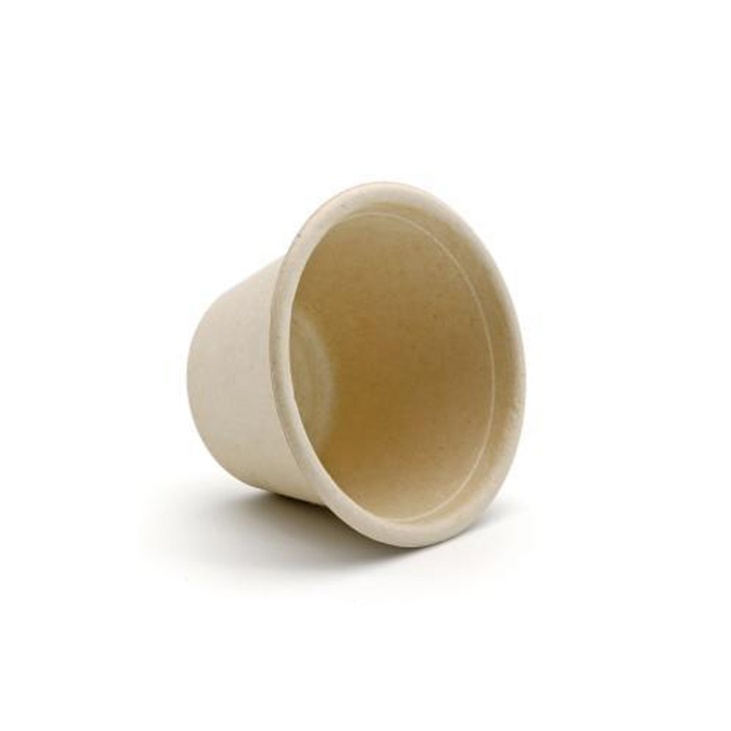Hitray Sugarcane Lunch Parcel Custom Print Two Compartment Food Approved Bagasse Box for Takeaway