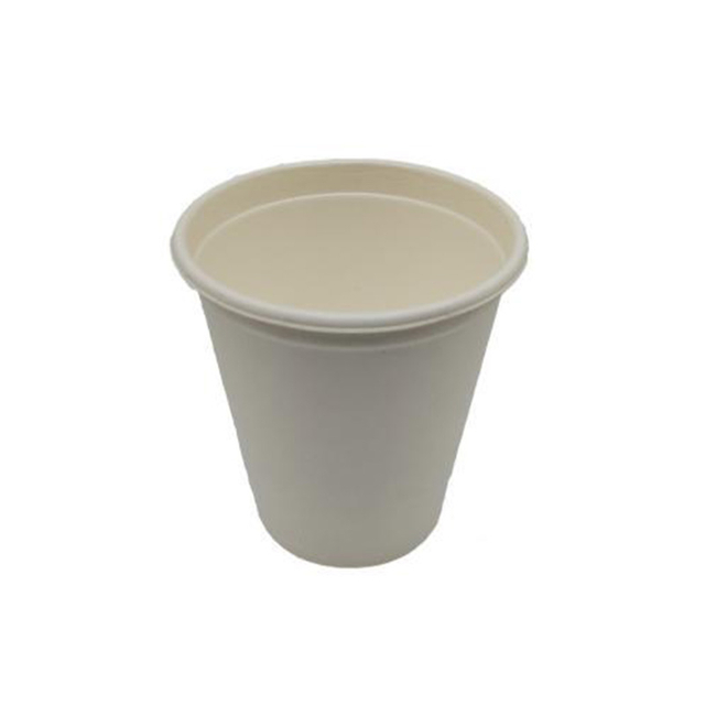 Hitray Biodegradable disposable sugarcane bagasse food tray