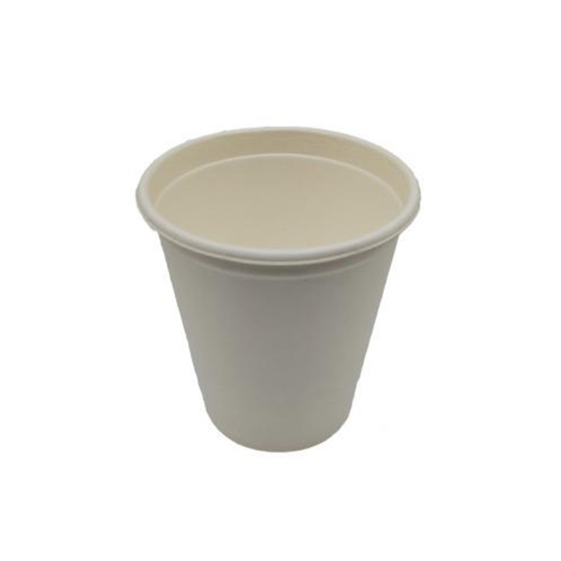 Hitray Sugarcane Lunch Parcel Custom Print Two Compartment Food Approved Bagasse Box for Takeaway