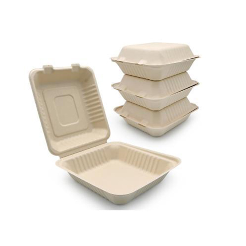 Hitray 600ML Connected Lunch Box Bagasse Food Container