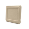 Hitray 217XTP Eco-Friendly Bagasse Food Container 