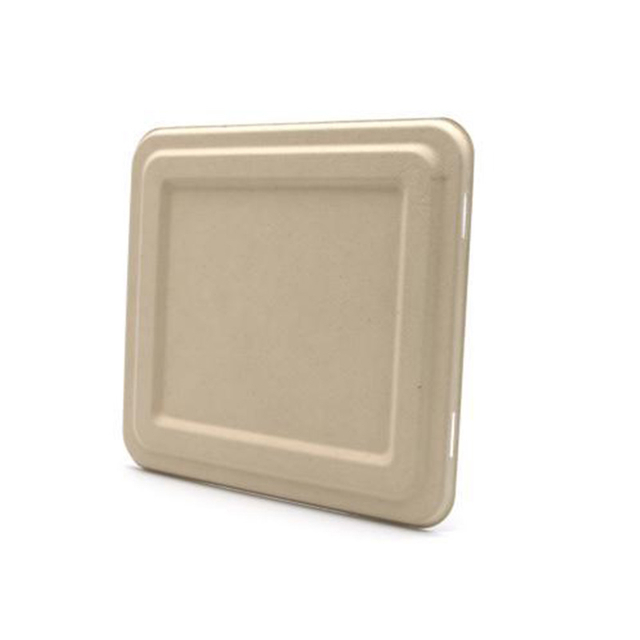 Hitray 217XTP Eco-Friendly Bagasse Food Container 