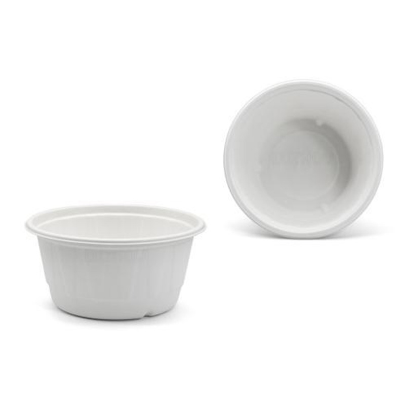 Hitray Disposable Biodegradable Sugarcane Bagasse Food Container