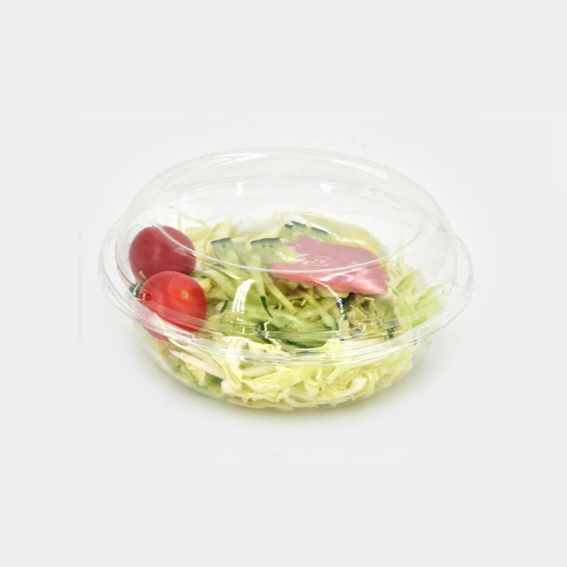 Hi tray clear salad container hi-160