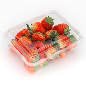 Hi Tray HS-500C 7.2 X 4.72 Inches Food Packaging Rectangle Clear PET Tray
