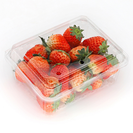 Hi Tray HS-500C 7.2 X 4.72 Inches Food Packaging Rectangle Clear PET Tray