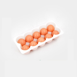 Hitray10-count Clear Plastic Egg Cartons 