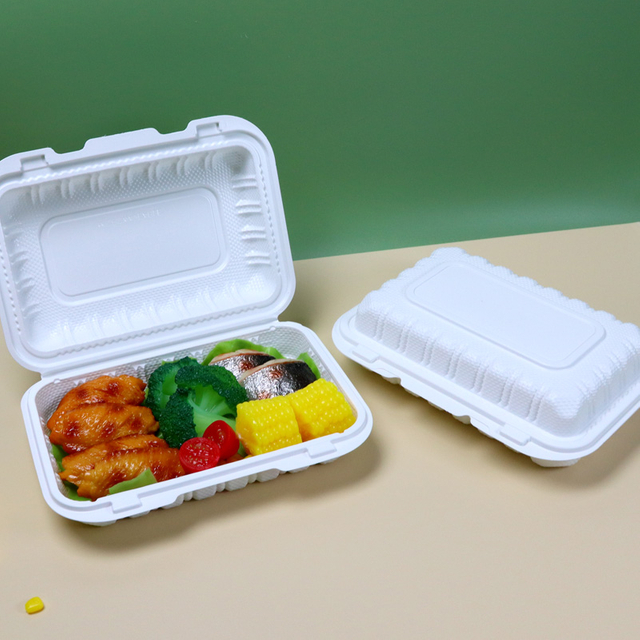 Hitray Dispositable Plastic PP Takeout Food Conatiner 