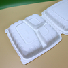 Hitray Disposable White PP Plastic Box
