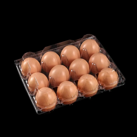 Hitray12-count Clear Plastic Egg Cartons