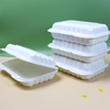 Hi-tray-21 Wholesale 18oz 6 Inch Hamburger Togo Fast Food Containers Disposable Plastic Hinged Clamshell Packaging Boxes