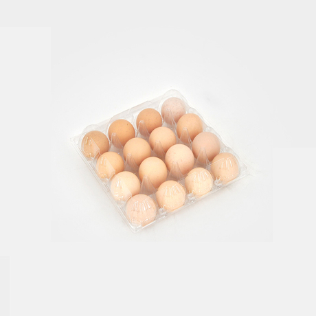 Hitray Large Plastic Egg Cartons 30 Packs with Sticker 